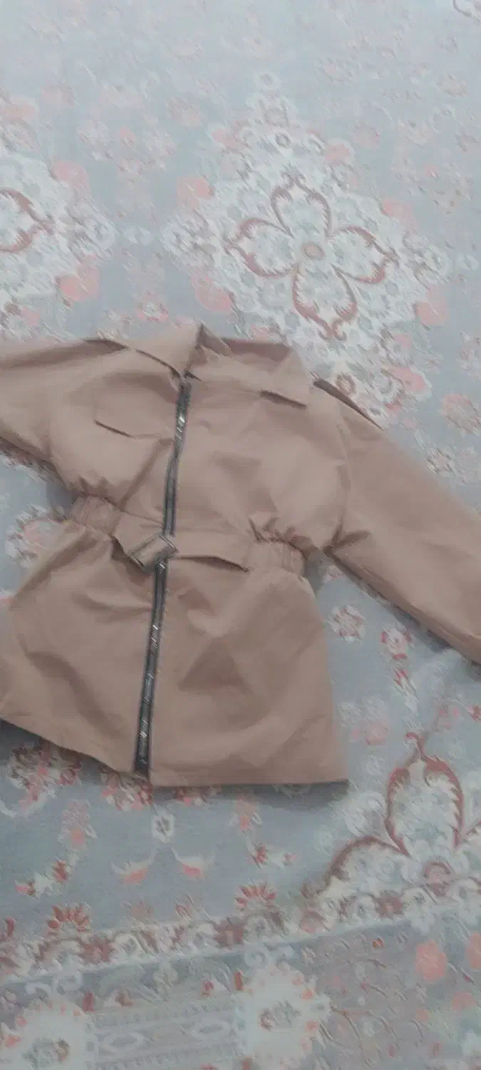 کت نو زیبا|لباس|سقز, |دیوار