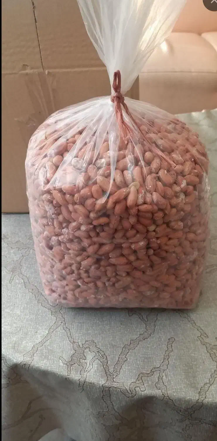 حراج بادام زمینی دشت مغان|حراج|خوی, |دیوار