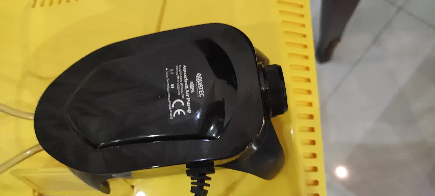 اکواریوم|ماهی|قائم‌شهر, |دیوار