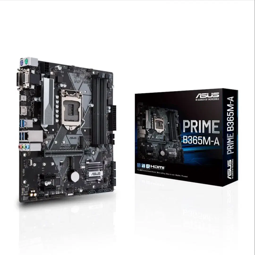 مادربرد ایسوس Prime B-365m-a|قطعات و لوازم جانبی رایانه|بندرعباس, |دیوار