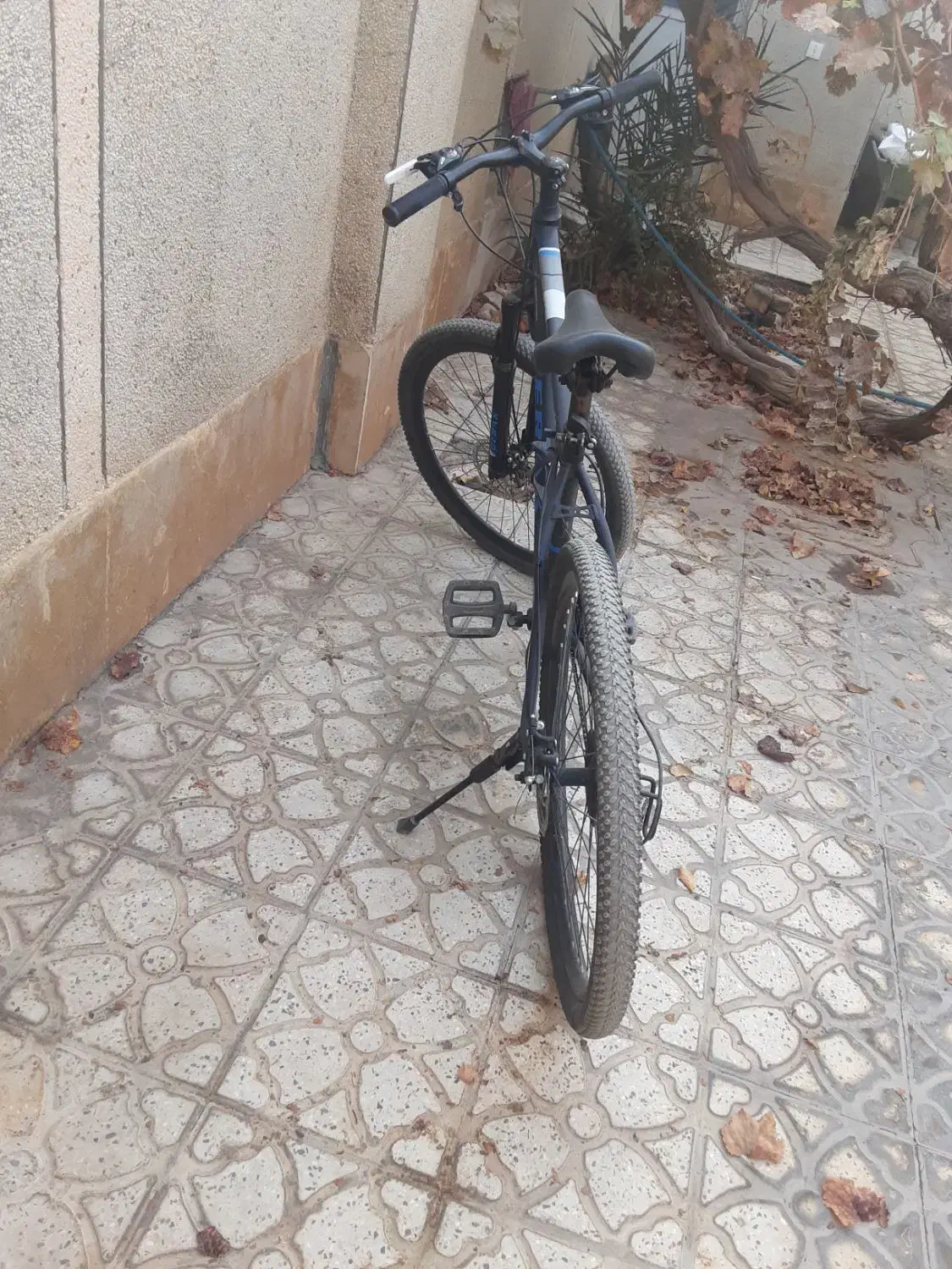 درحدنو|دوچرخه، اسکیت، اسکوتر|پاسارگاد, |دیوار