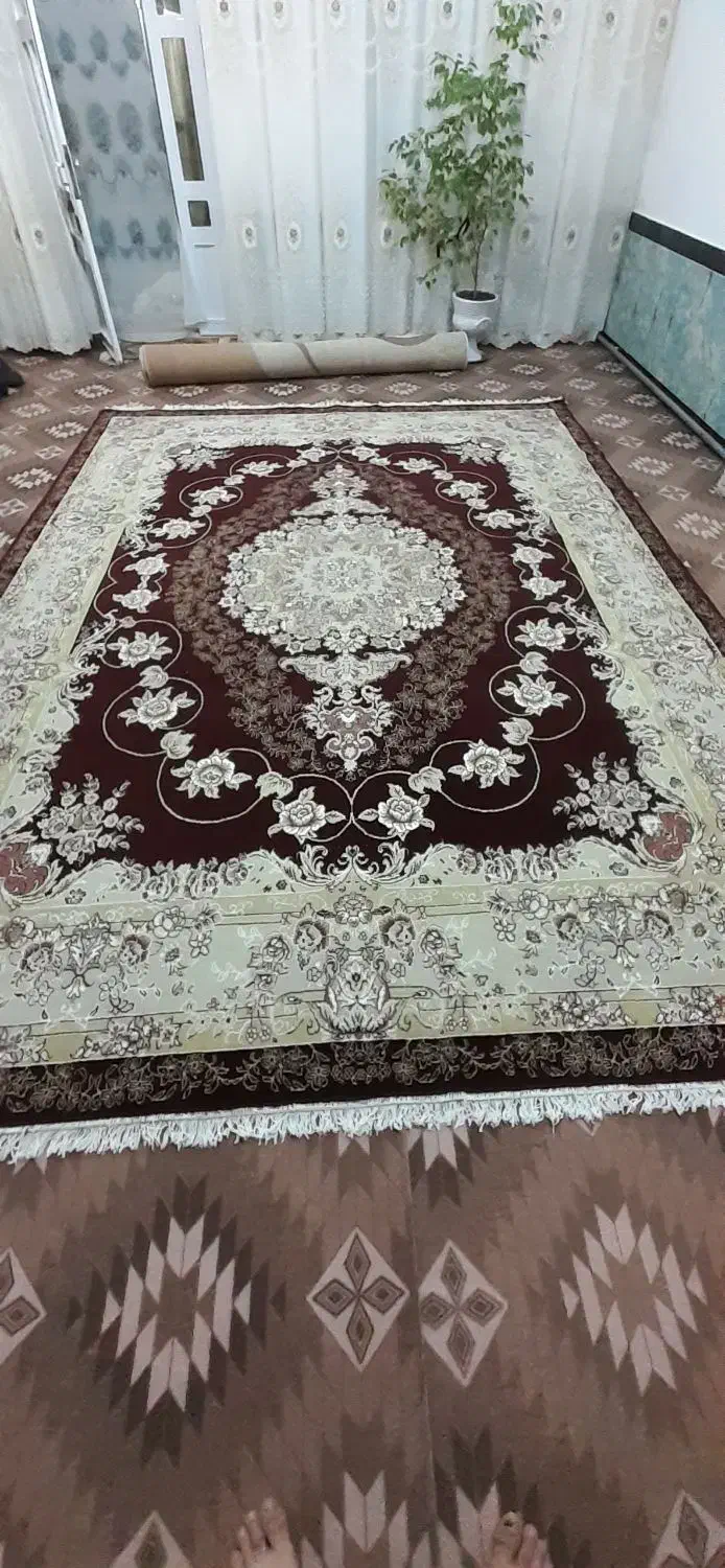 فروش دو عدد فرش 12 متری و یک گلیم  9 متری|فرش|میاندوآب, |دیوار