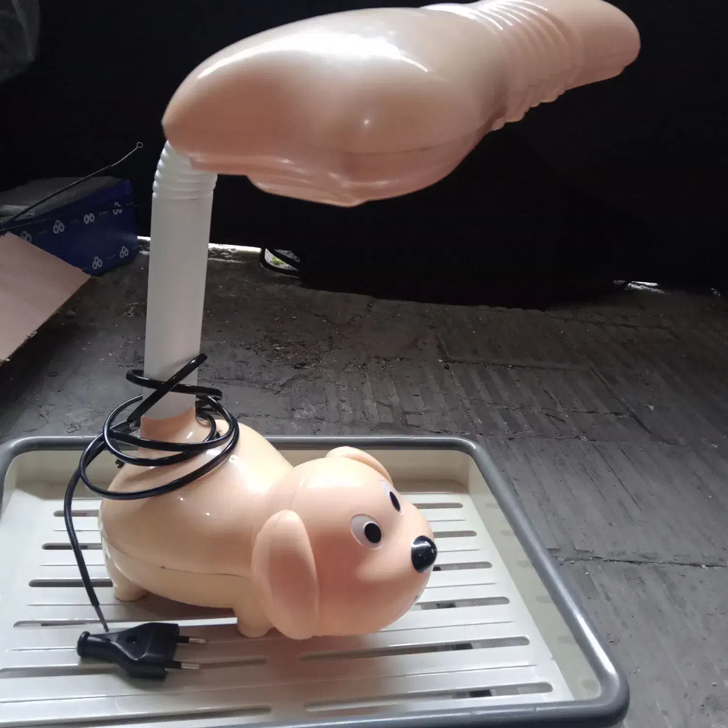 چراغ مطالعه|لامپ و چراغ|گرگان, |دیوار