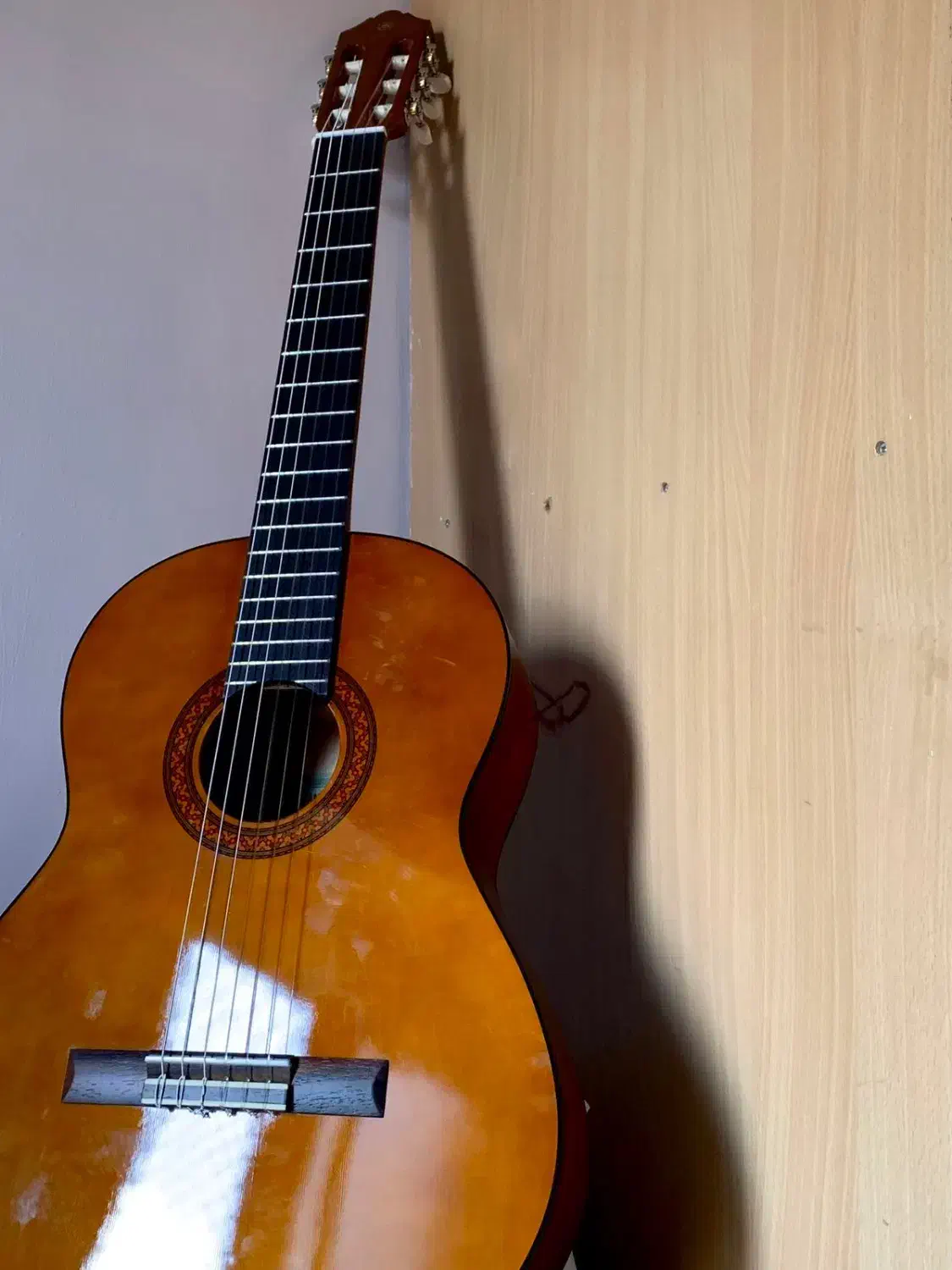 گیتار یاماها C40|گیتار، بیس، امپلیفایر|تایباد, |دیوار