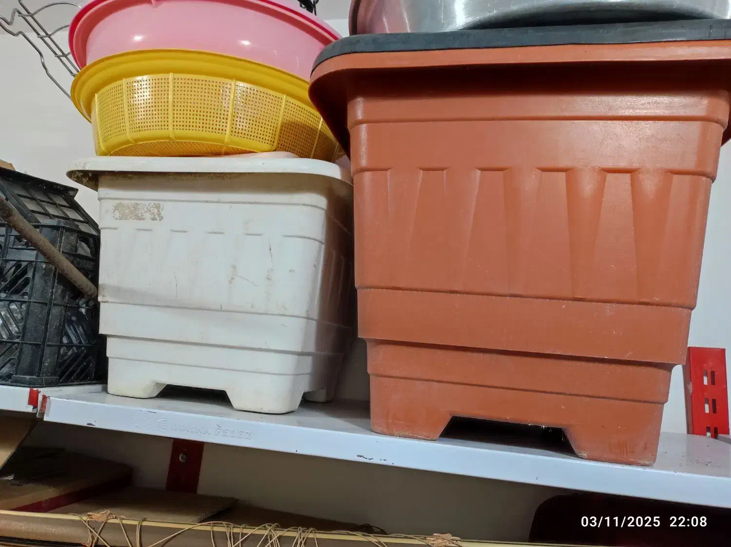 گلدان بزرگ|گل و گیاه طبیعی|الوند, |دیوار