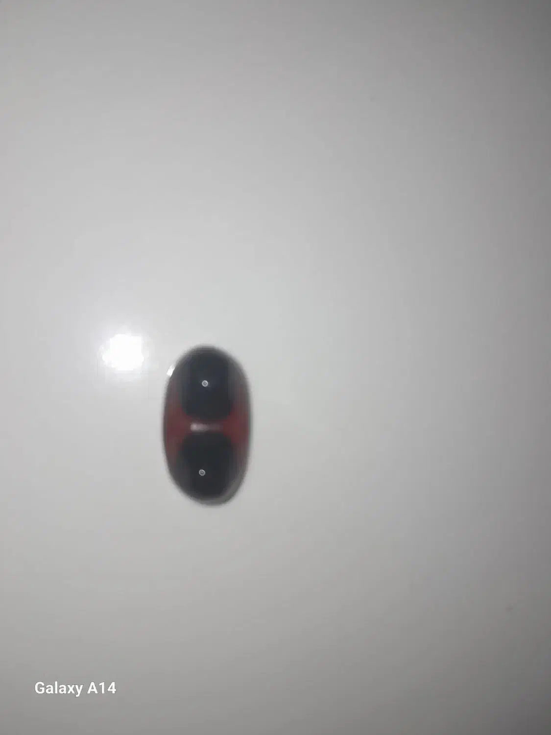 سنگ عتیقه باباقوری|کلکسیون اشیاء عتیقه|شیروان (خراسان), |دیوار