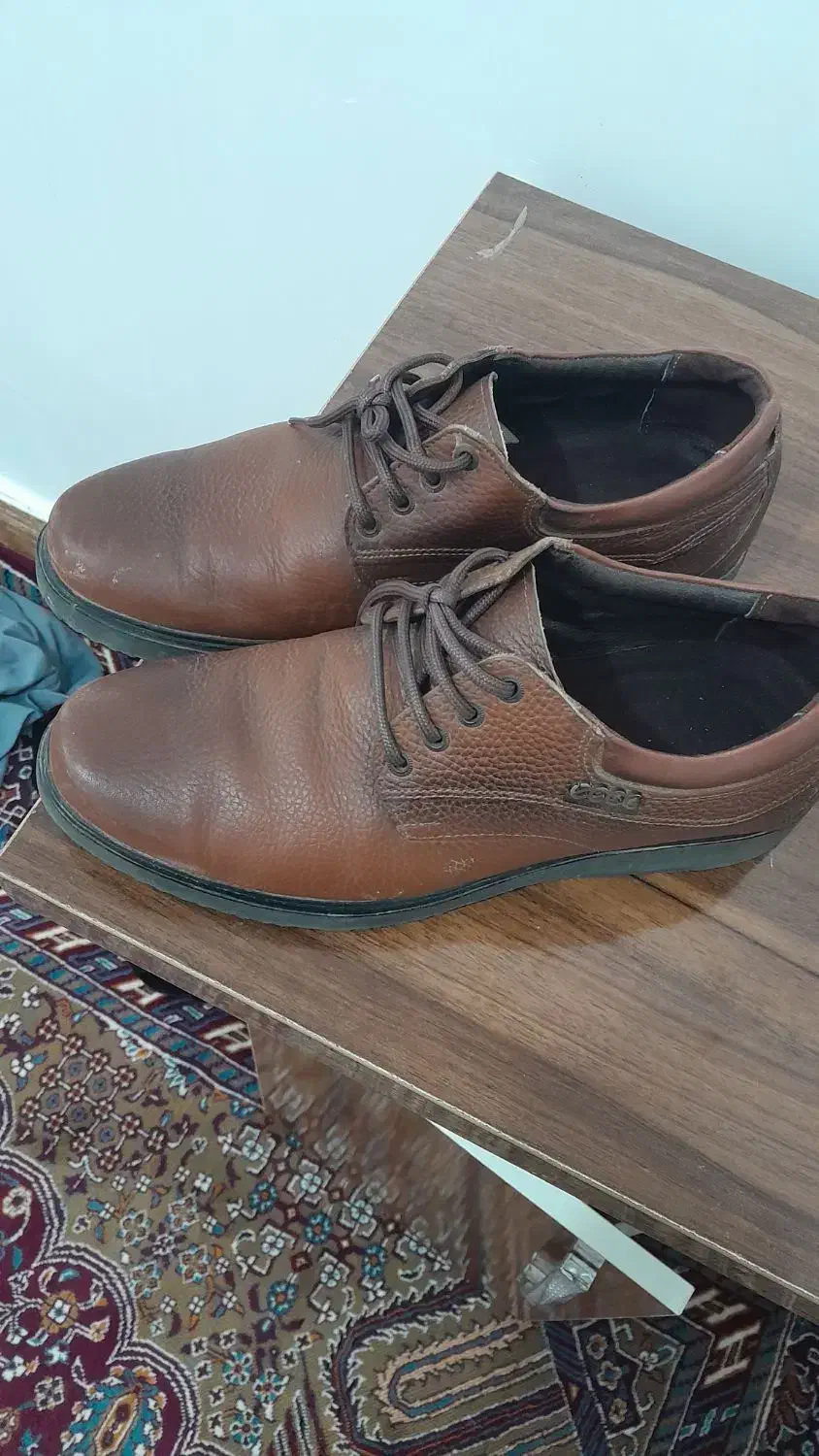 کفش سایز 41چرم|کیف، کفش، کمربند|سقز, |دیوار