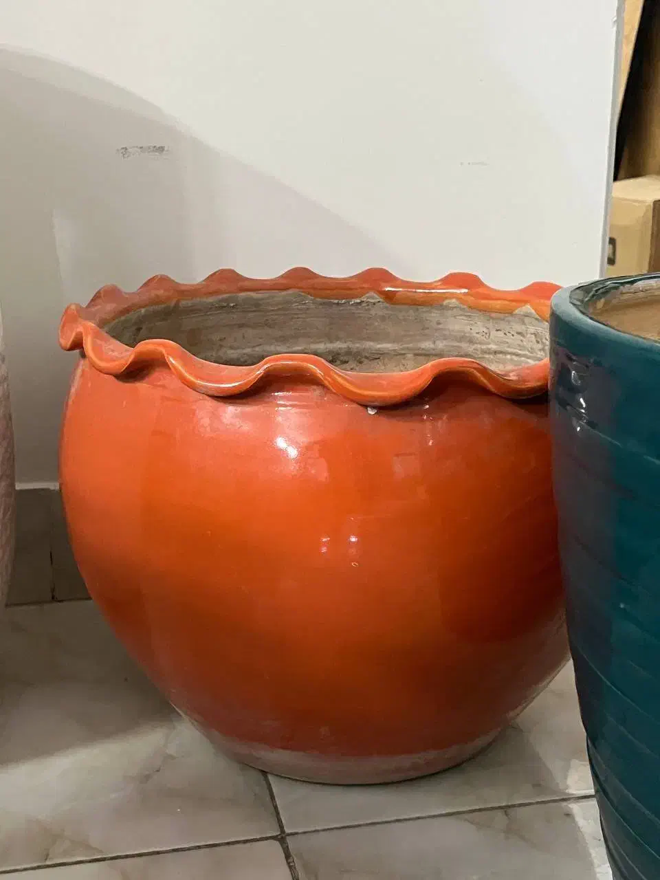 گلدان|گل و گیاه طبیعی|تهران, اتحاد|دیوار