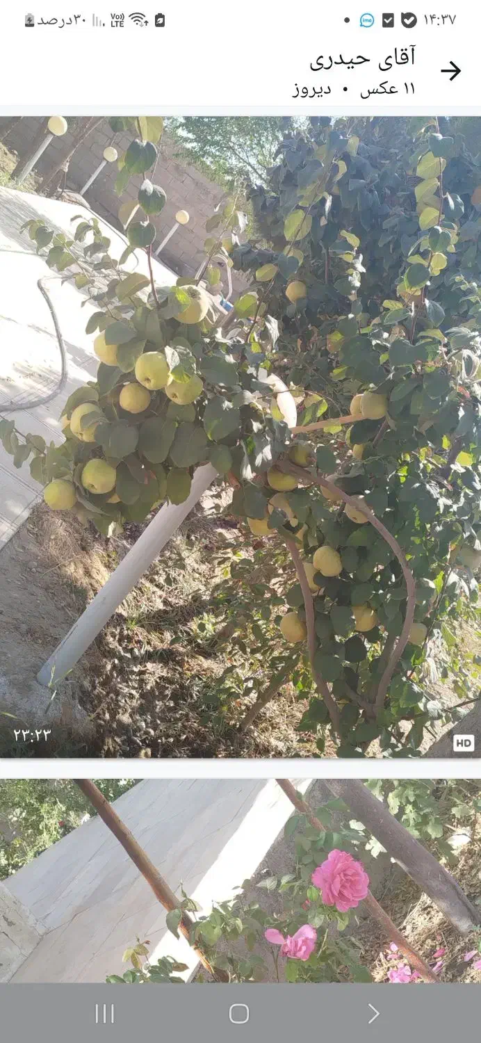 ویلا۱۱۰۰متری|فروش خانه و ویلا|تنکمان, |دیوار