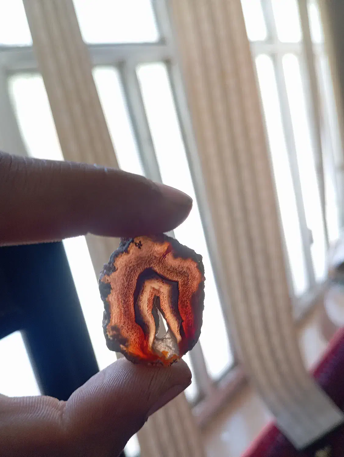 عقیق سرخ سلیمانی|جواهرات|شیراز, شهرک بهشتی|دیوار