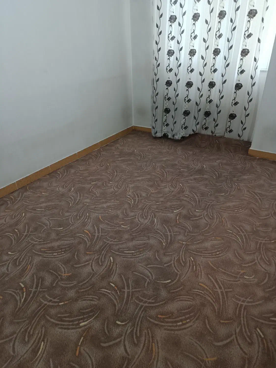 موکت پالاز|موکت|ارومیه, |دیوار