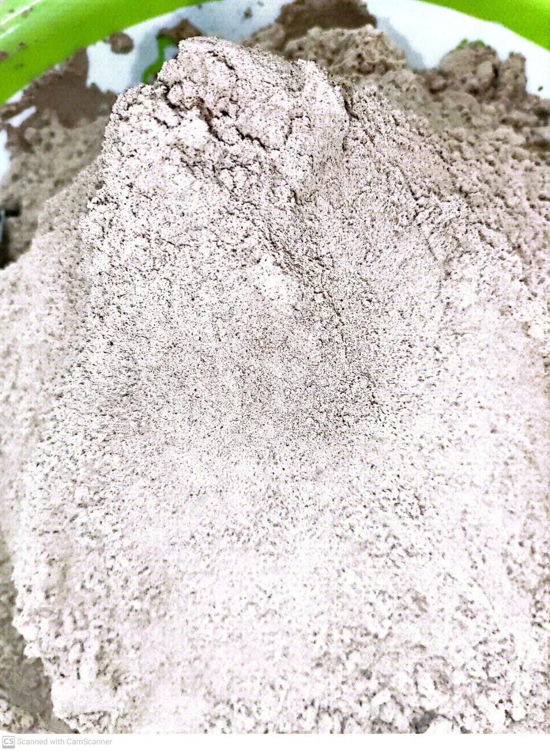 قوتو چهل گیاه خانگی|خوردنی و آشامیدنی|سیرجان, |دیوار