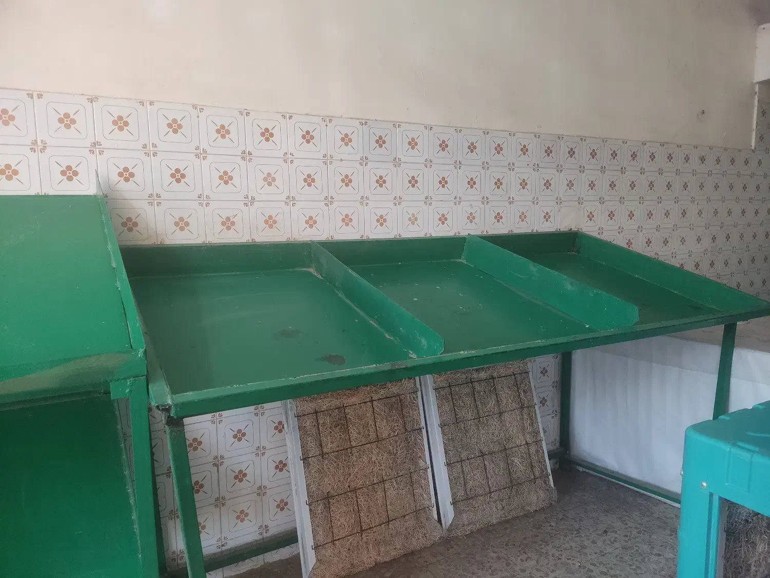 قفسه میوه(شلف)|فروشگاه و مغازه|دماوند, گیلاوند|دیوار