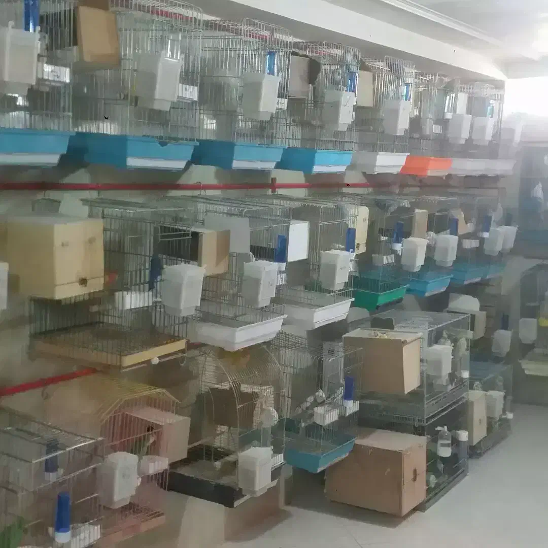 قفس ۸خان پژاوند قاطری قفس کاسکویی ۱۰۳۳و ۱۰۳۲|لوازم جانبی حیوانات|تهران, شهرک دریا|دیوار