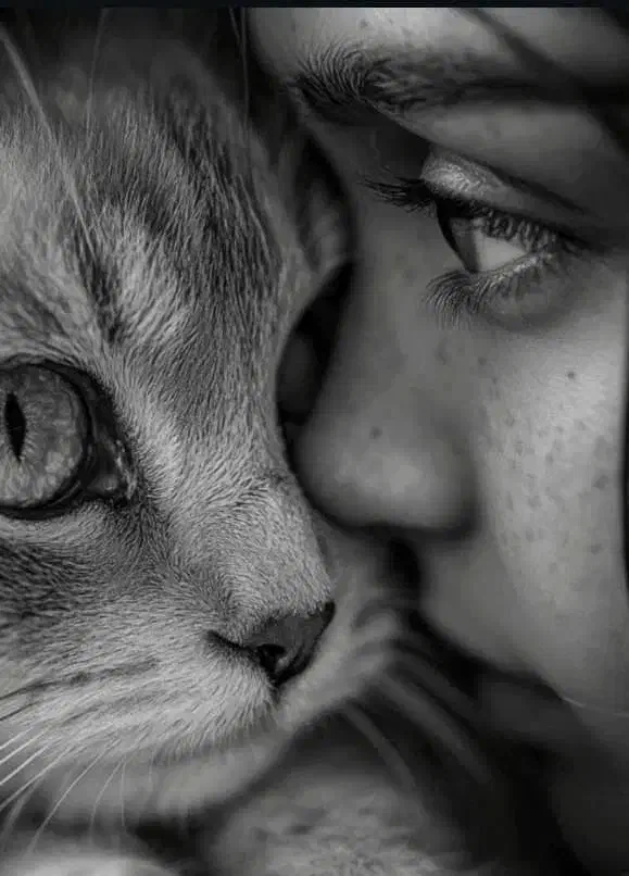 سفارش سیاه قلم هایپرئال|تابلو، نقاشی، عکس|تهران, زعفرانیه|دیوار