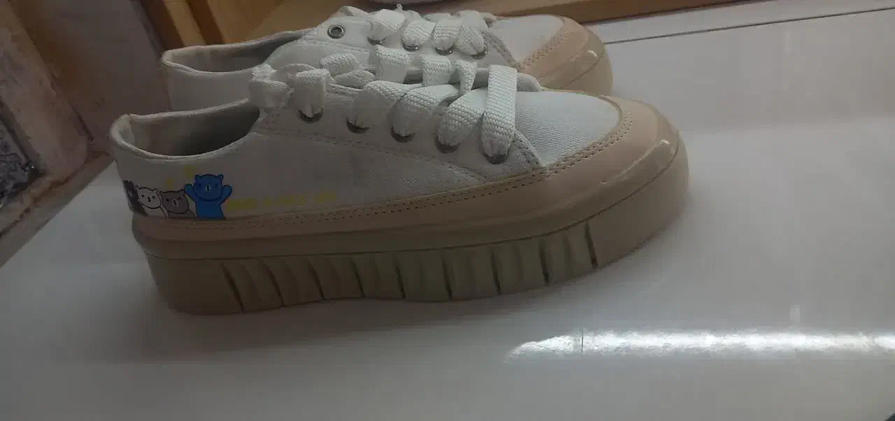 کفش وکیف|کیف، کفش، کمربند|یاسوج, |دیوار