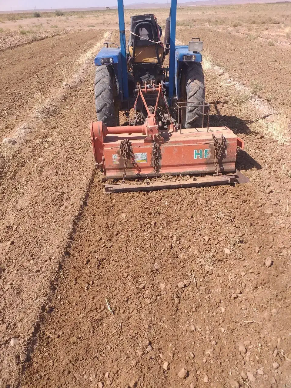 چهار شاخ زنی زعفران(رنده زنی)|خدمات باغبانی و درختکاری|تربت جام, المهدی|دیوار