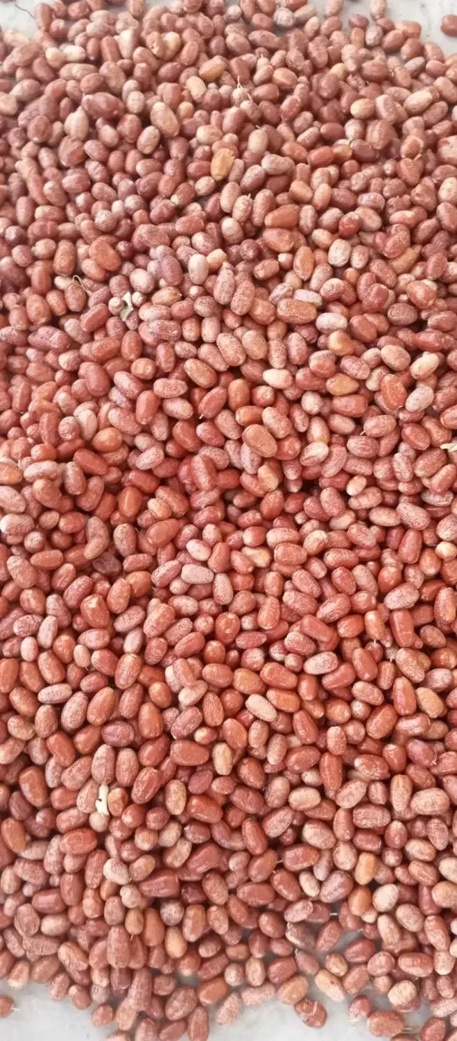 سنجد شکر پاره|خوردنی و آشامیدنی|شادیان, |دیوار