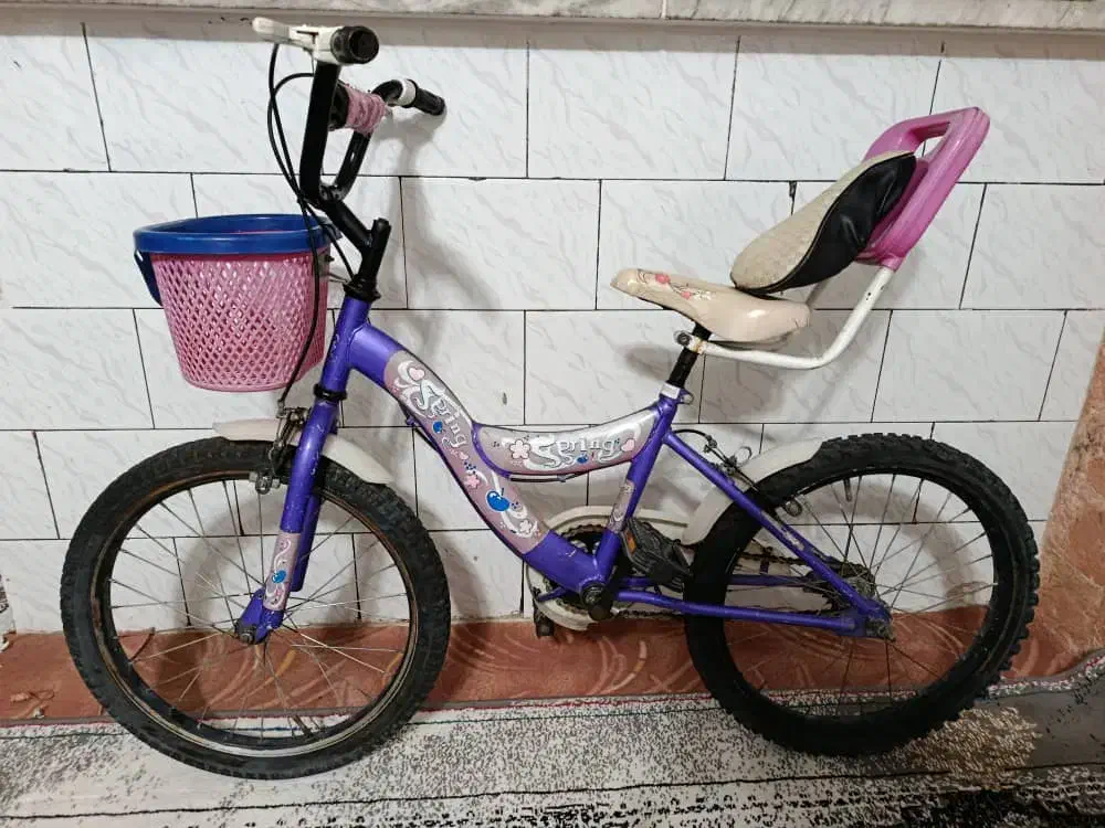 دوچرخه دخترانه سایز۲۰.تمیز|دوچرخه، اسکیت، اسکوتر|ملارد, |دیوار