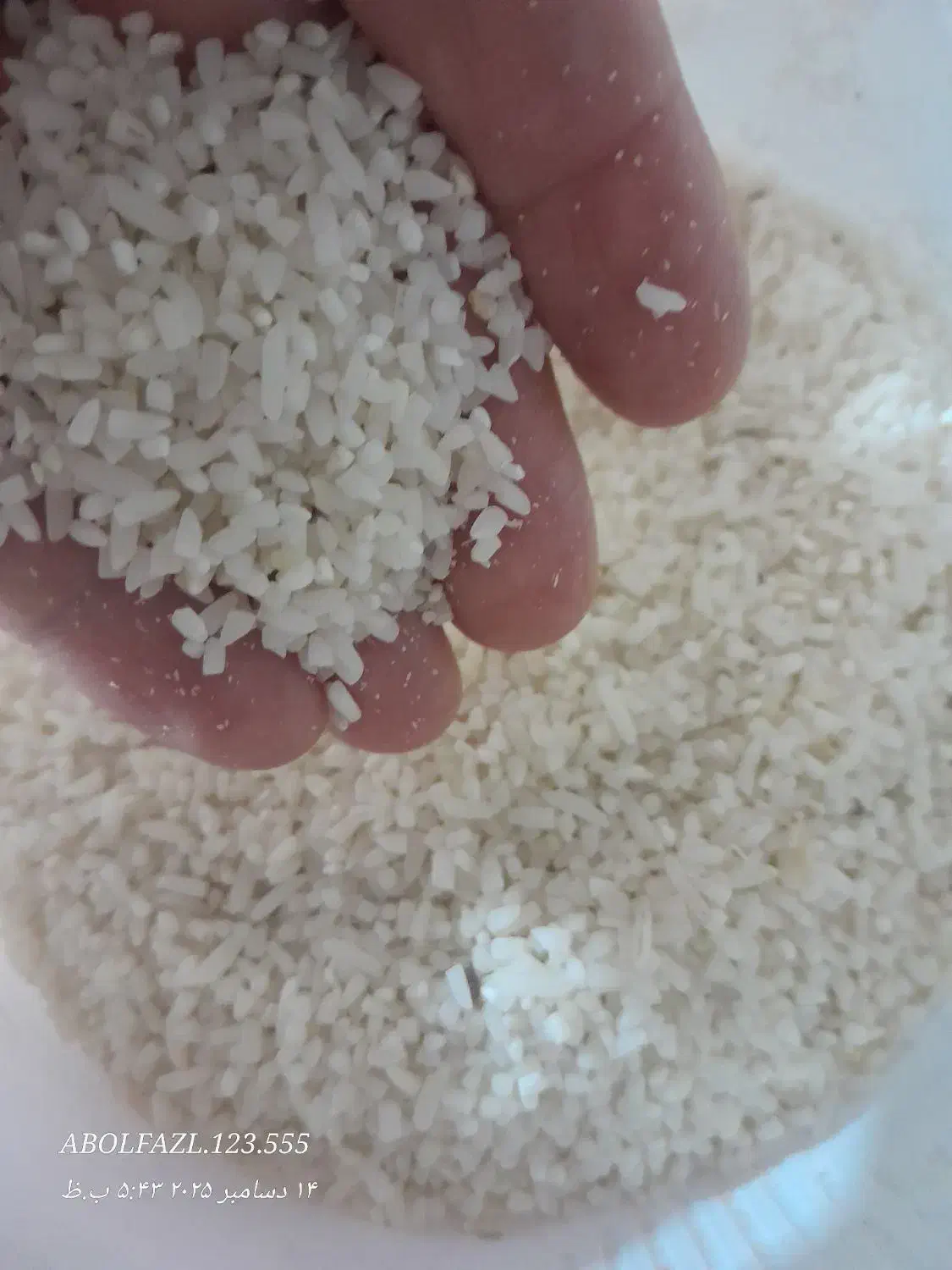 برنج نیمه شمال کیلوی ۱۶۰|خوردنی و آشامیدنی|بجنورد, |دیوار