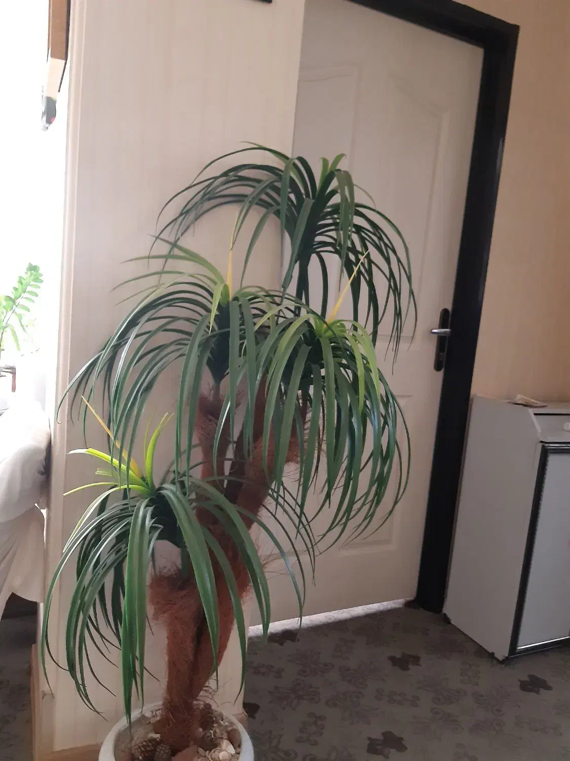 نخل مصنوعی|گل مصنوعی|بیرجند, |دیوار