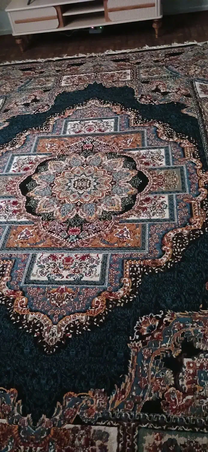 قالی ۱۲ متری|فرش|خرمشهر, |دیوار