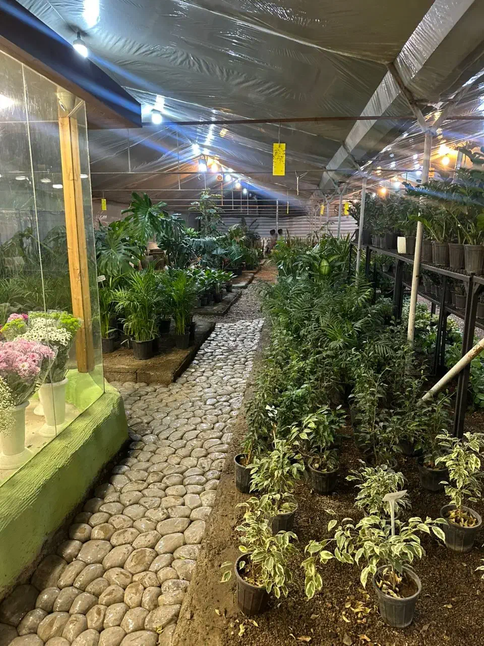 کارگر ساده گل فروشی ۱۵ تا ۲۰ سال با جای خواب|استخدام خدمات فروشگاه و رستوران|اصفهان, ارداجی|دیوار