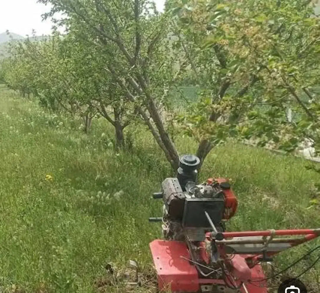 شخم زنی درختان با قیمت مناسب|خدمات باغبانی و درختکاری|میانه, |دیوار