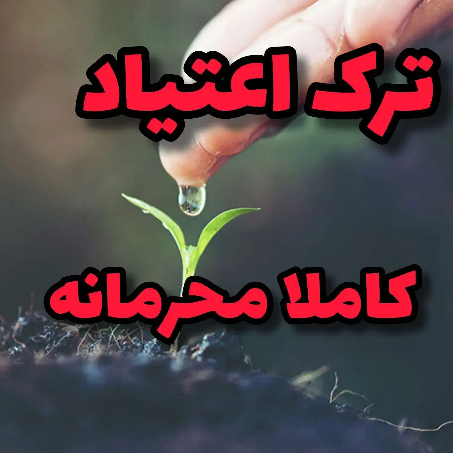 ترک ا*عتیا*د کاملا گیاهی|خدمات آرایشگری و زیبایی|ریگان, |دیوار