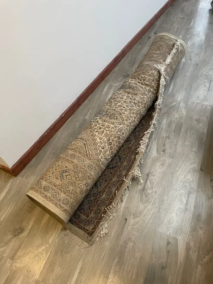 فرش ماشینی ۶ متری با کیفیت|فرش|سرخرود, |دیوار