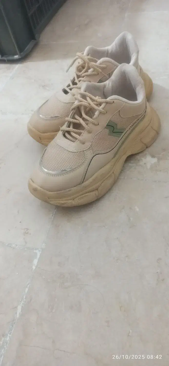 کفش|کیف، کفش، کمربند|بیرجند, |دیوار