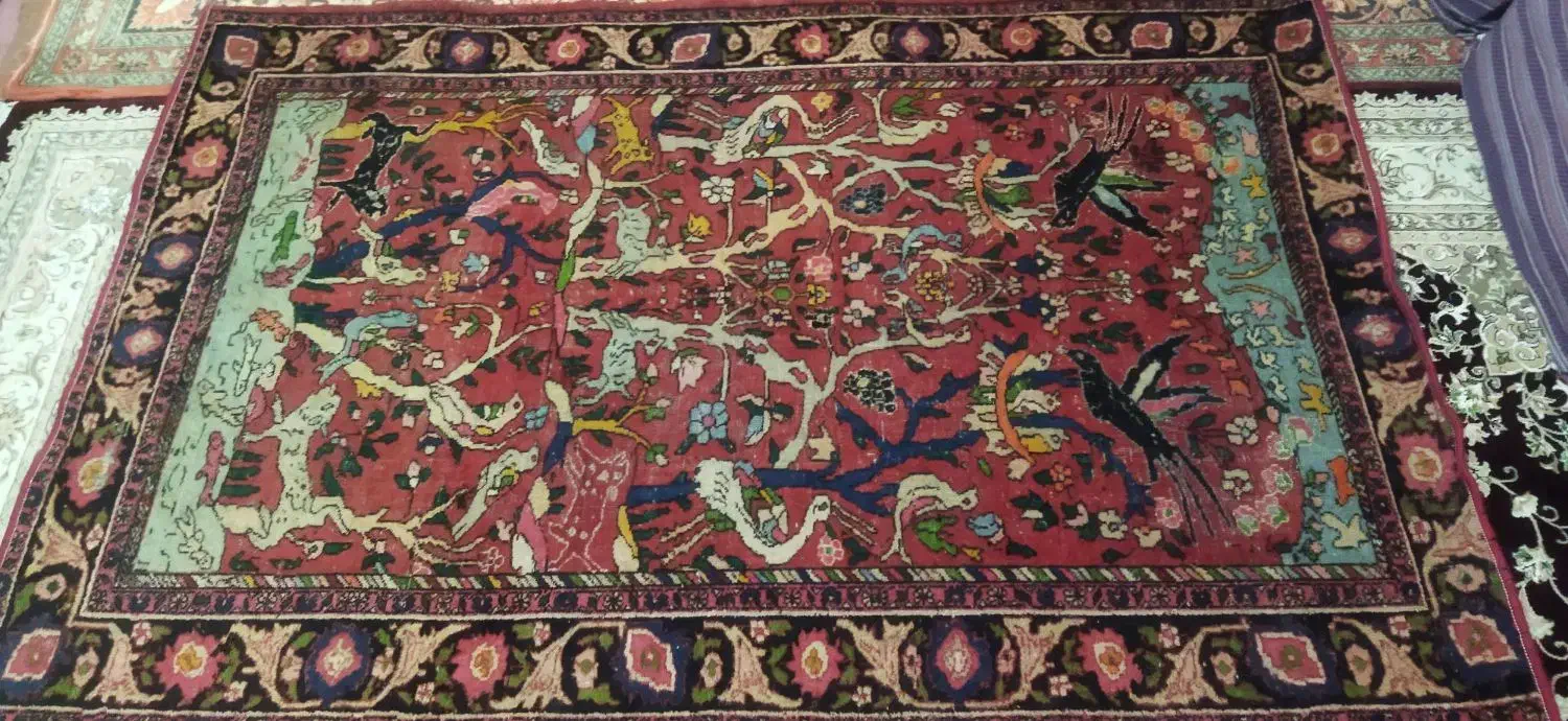 قالی دستی وسینی یا مجمع سنتی قدیمی|فرش|املش, |دیوار