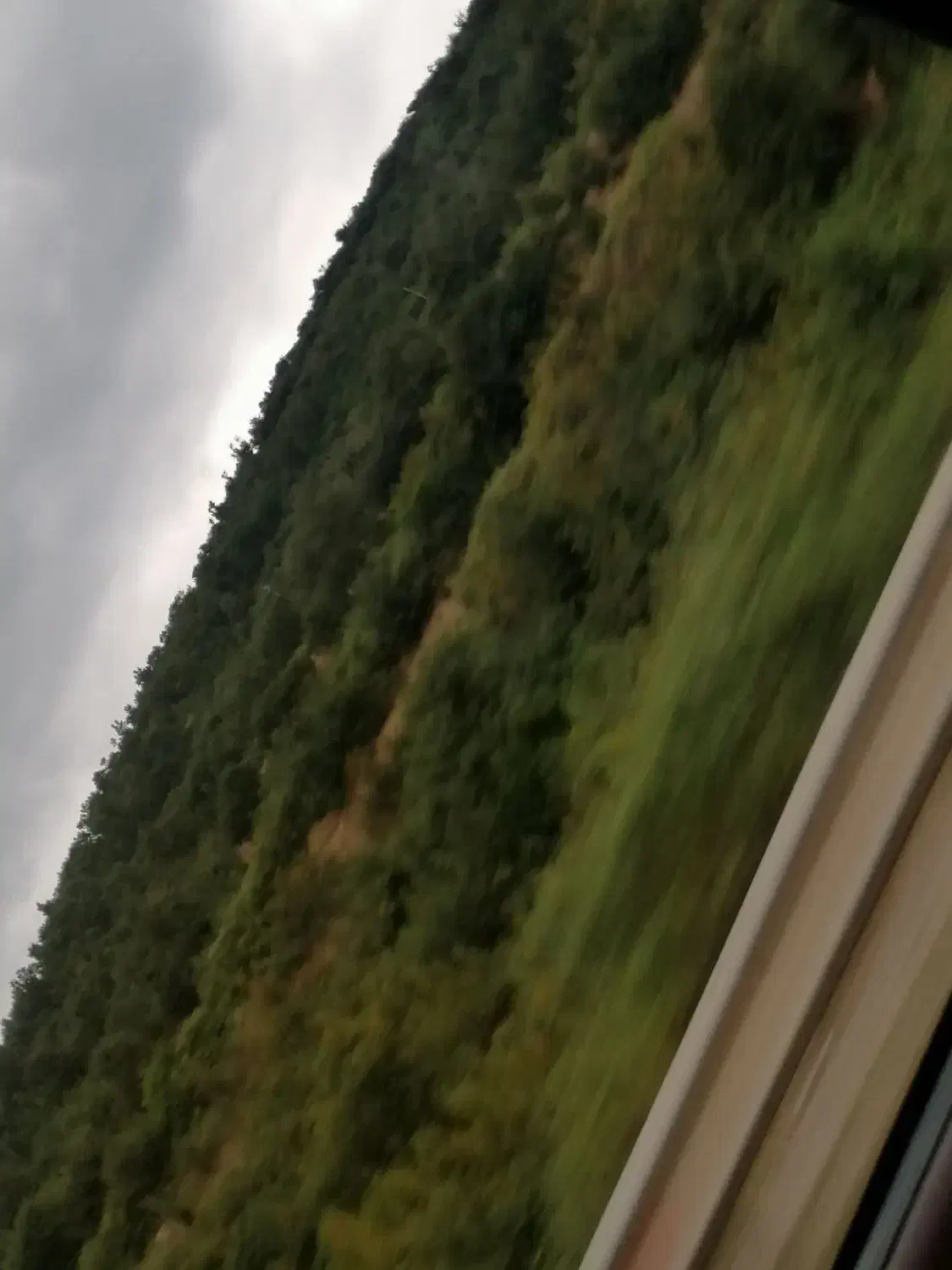 زمین ۴۵ کیلومتری سنندج|فروش زمین و ملک کلنگی|کلاترزان, |دیوار