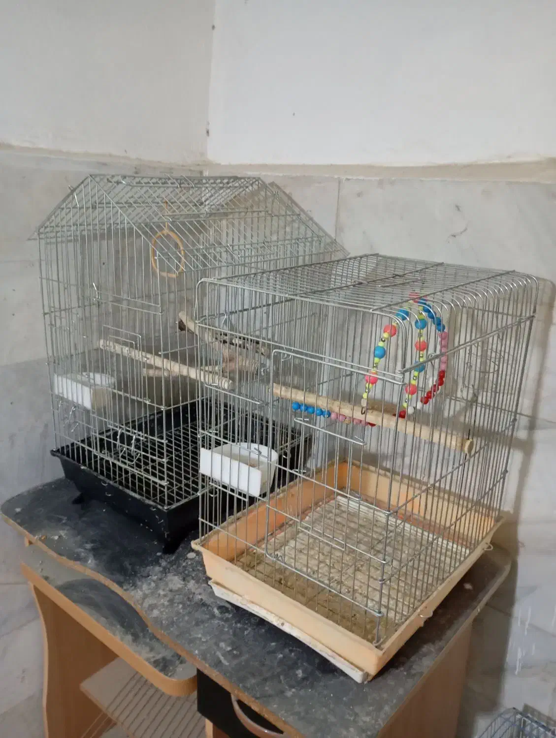 سرگرمی وفراغت|لوازم جانبی حیوانات|مریوان, |دیوار