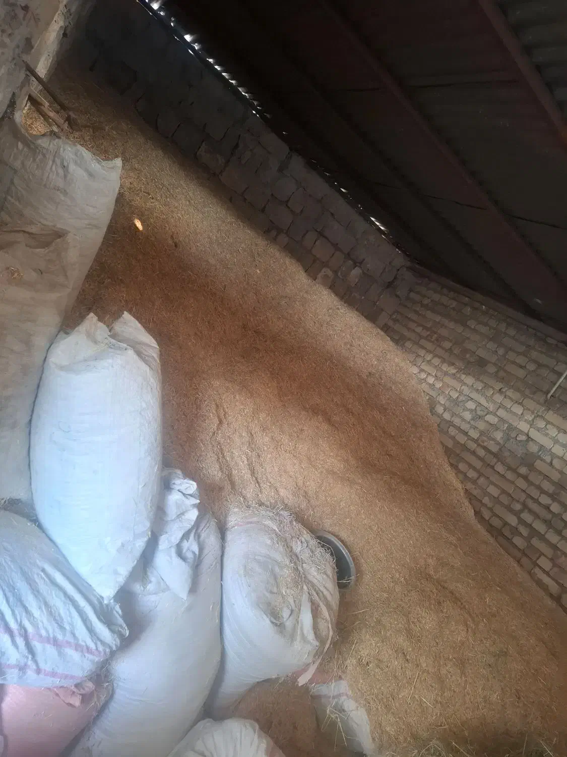 کاه گندم|لوازم جانبی حیوانات|شاهیوند, |دیوار