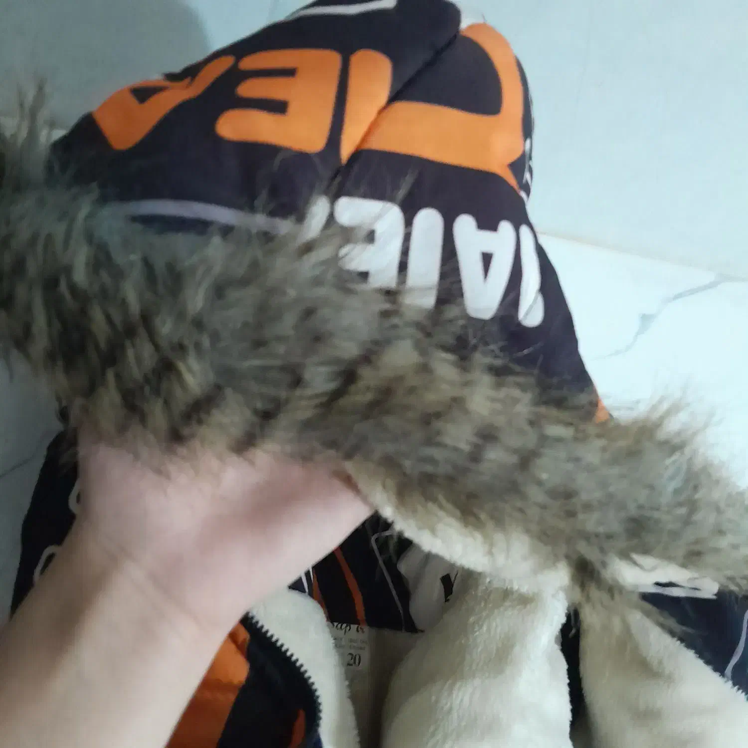 کاپشن نو|لباس|اردبیل, |دیوار