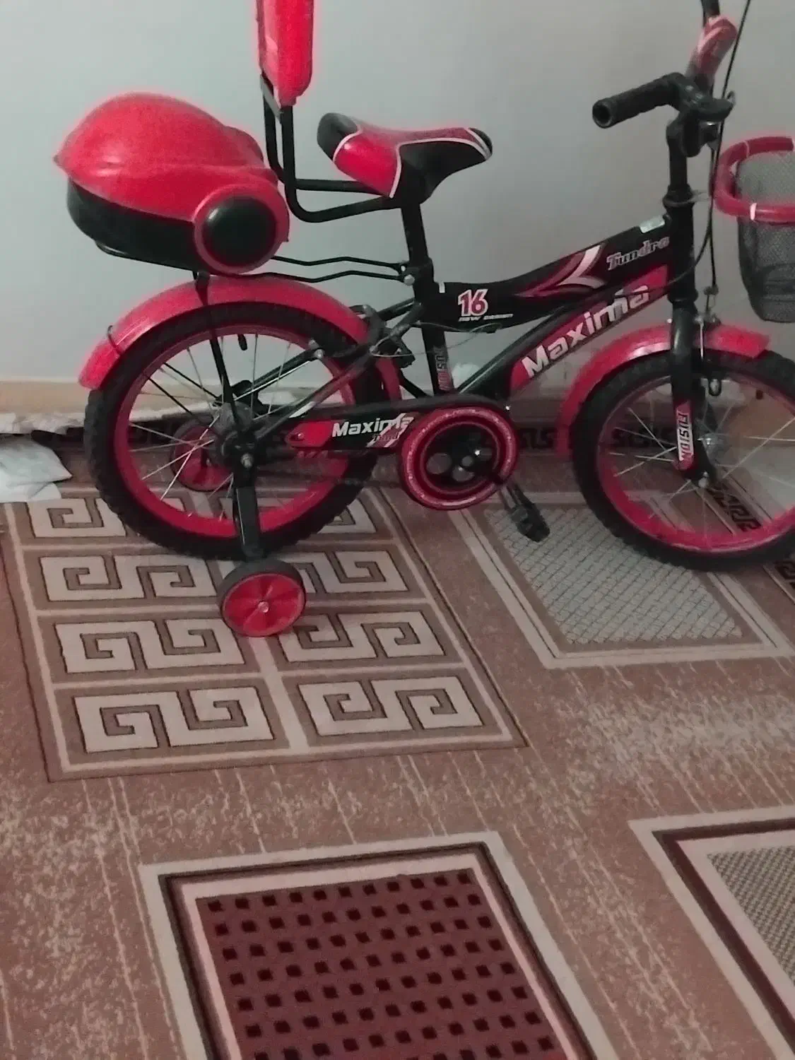 دوچرخه|دوچرخه، اسکیت، اسکوتر|دوگنبدان, |دیوار