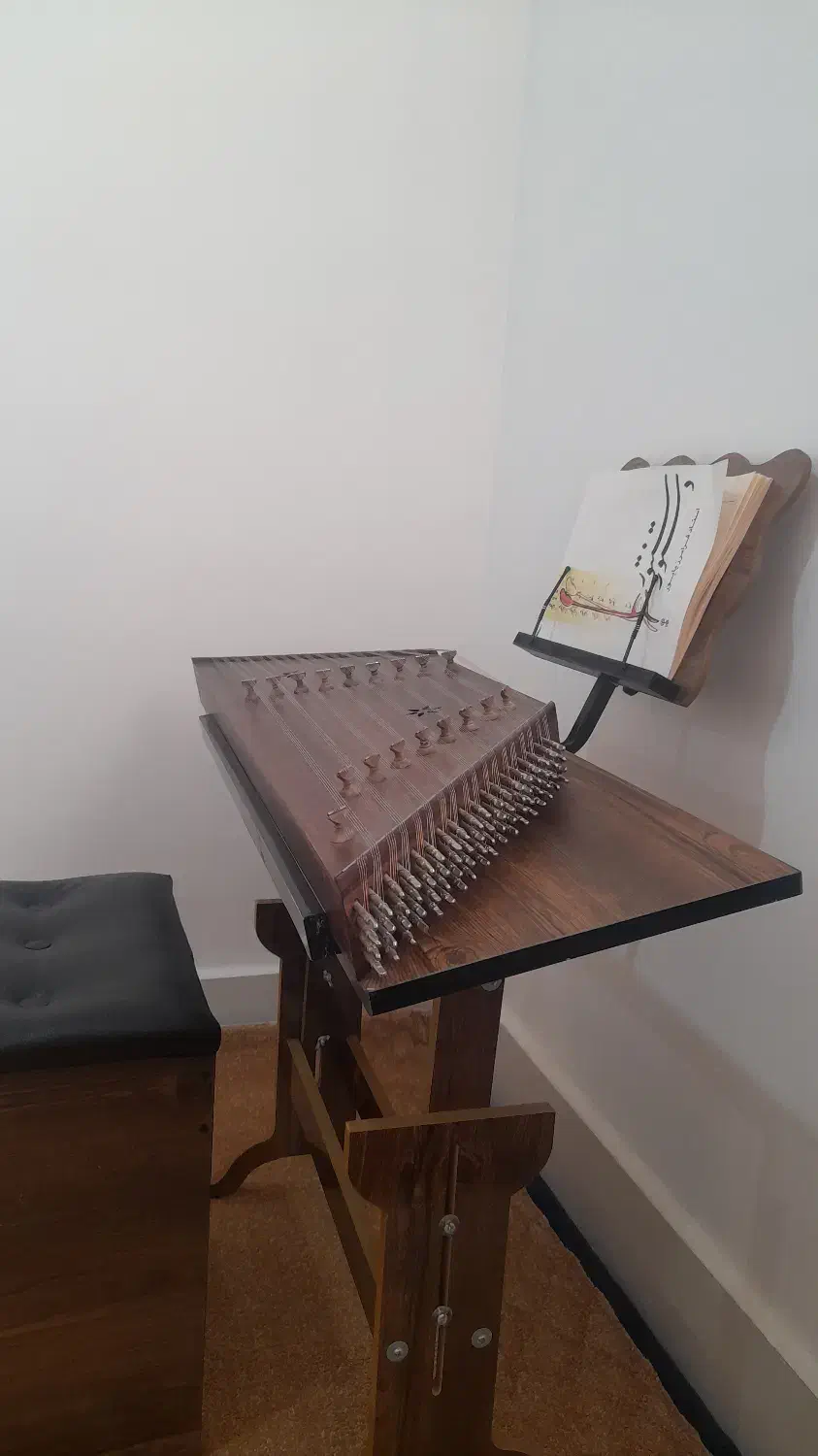 سنتور تایید شده مخصوص مناطق جنوب|سازهای سنتی|آبپخش, |دیوار