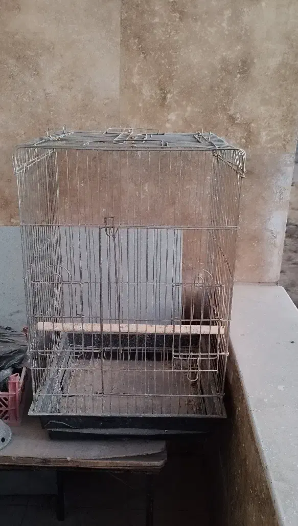 قفس کاسکو بزرگ سالم و تمیز|لوازم جانبی حیوانات|شیراز, گویم|دیوار