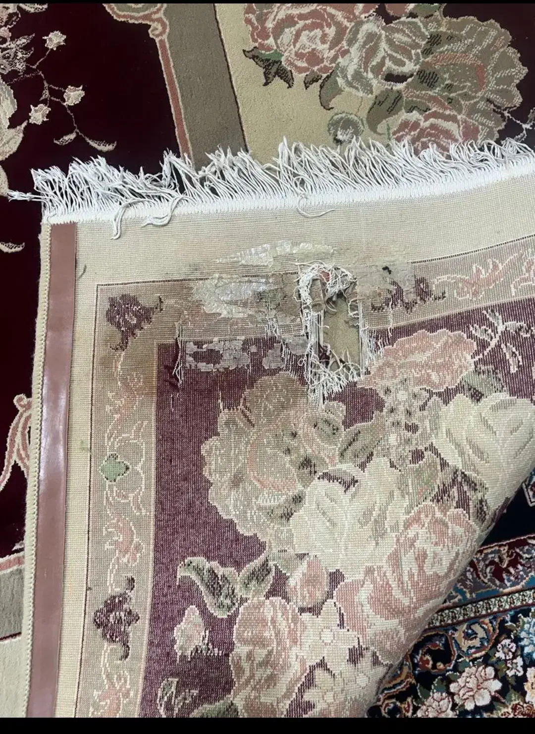 فرش|فرش|اهواز, کوی جانبازان(دانش)|دیوار