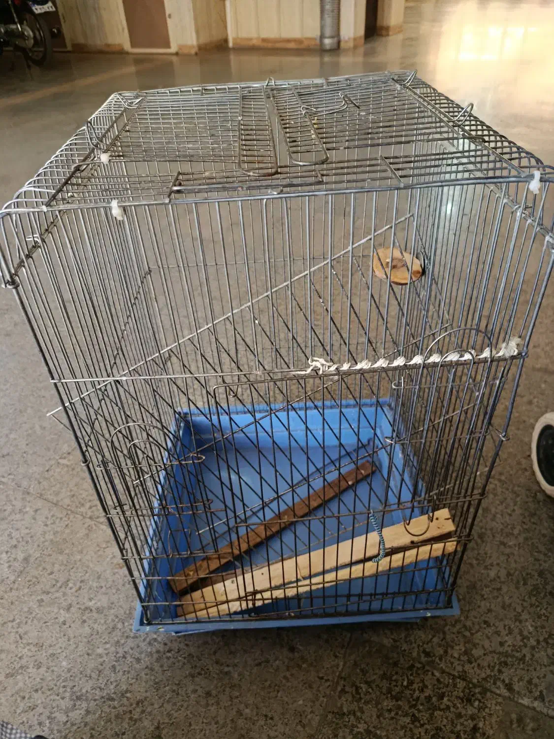 قفس پرنده|لوازم جانبی حیوانات|بروجرد, |دیوار