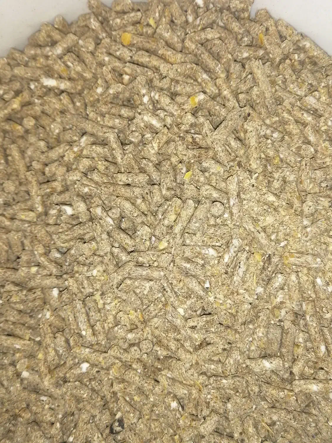 مقدار حدودا دویست تا دویست و پنجاه کیلو کنسانتره|لوازم جانبی حیوانات|اسحاق آباد, |دیوار