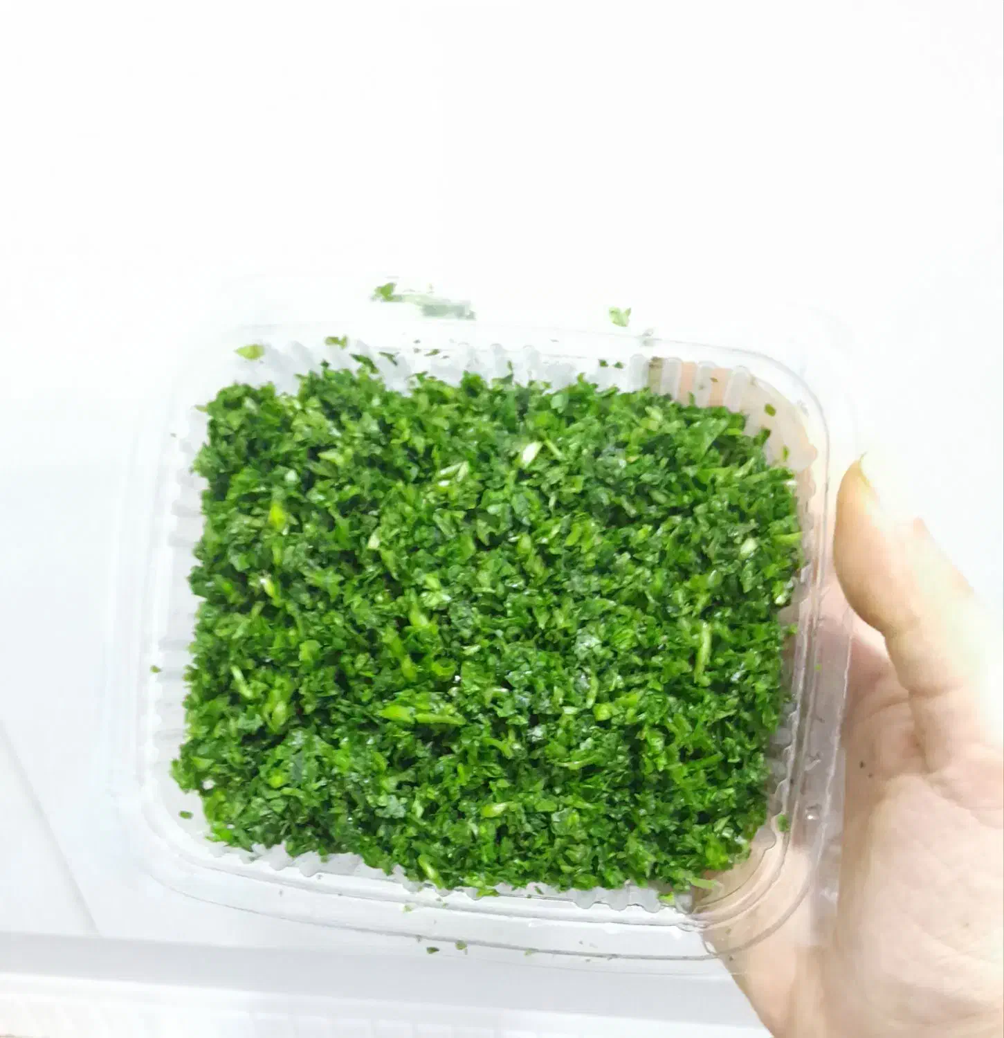 سبزی خردشده|خوردنی و آشامیدنی|میناب, |دیوار