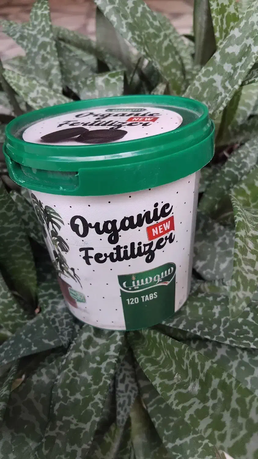 قرص کود گل و گیاه|گل و گیاه طبیعی|ساری, |دیوار