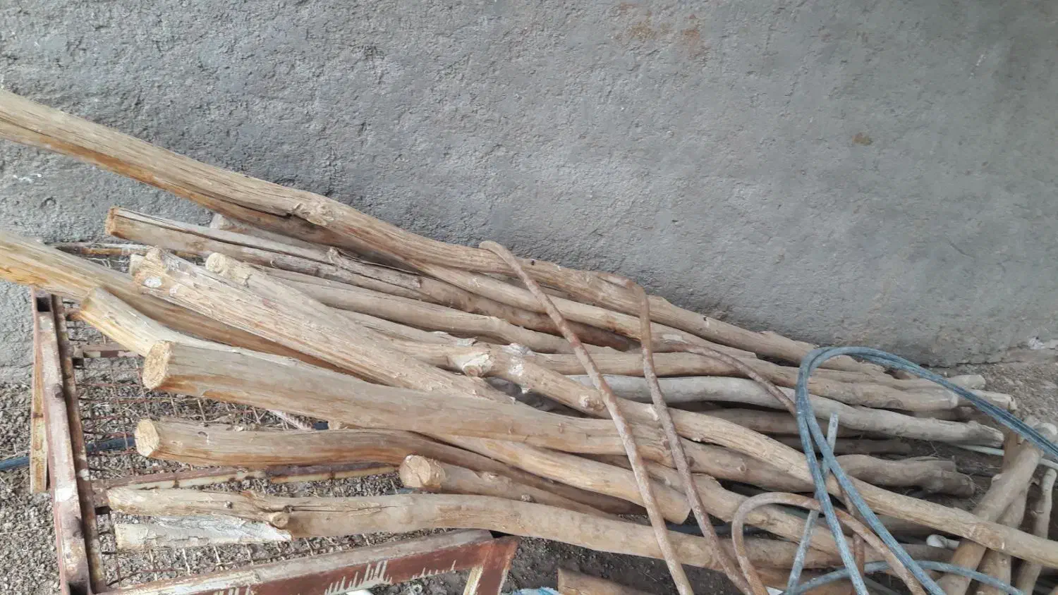 چوب فروشی|عمده‌فروشی|جلگه ماژان, |دیوار