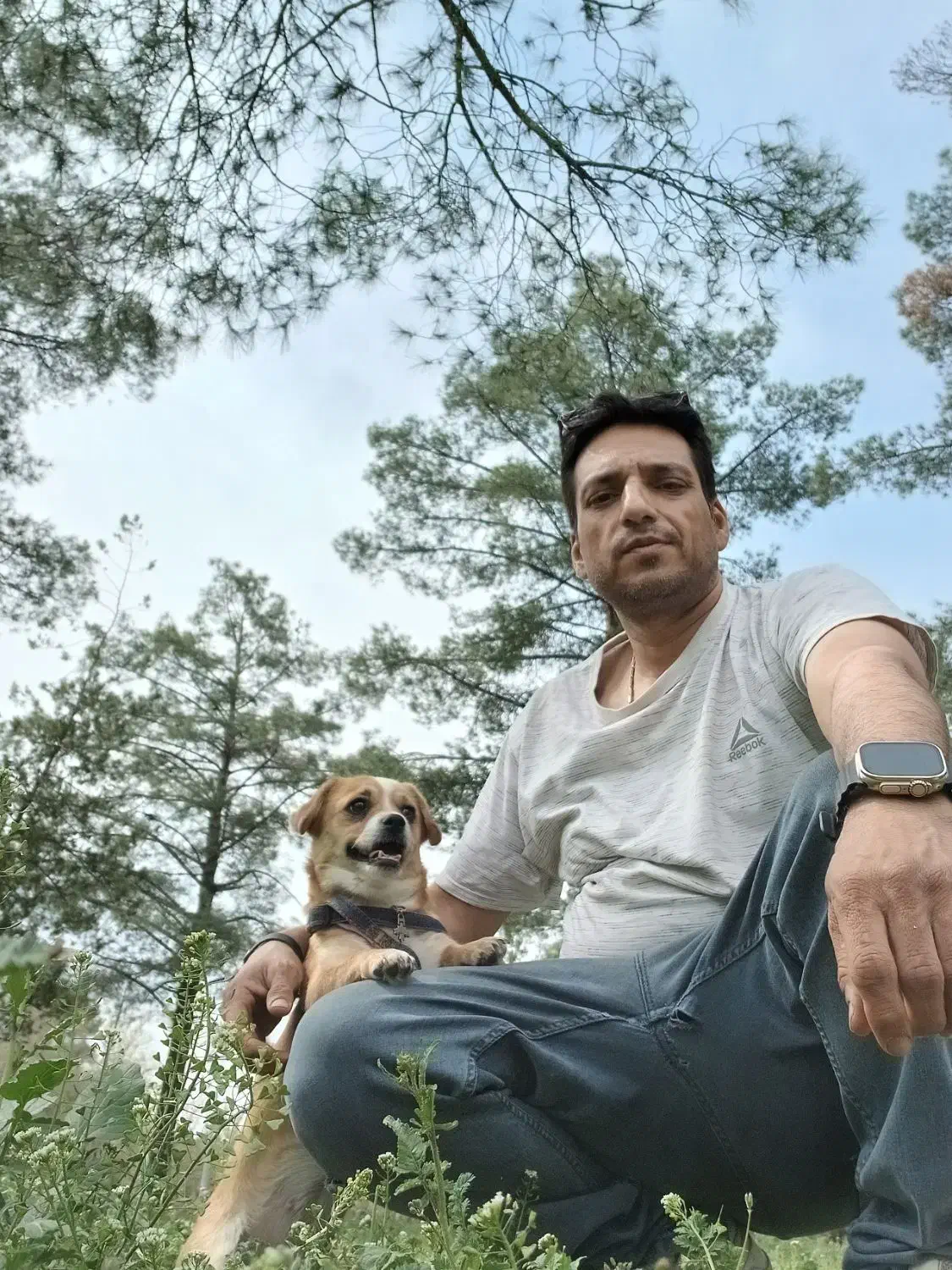 گمشده مژدگانی دریافت کنید|حیوانات|وحیدیه, |دیوار