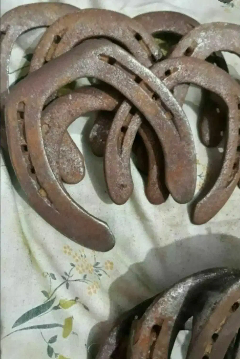 نعل اسب کهنه و پا خورده|اسب و تجهیزات اسب‌سواری|خرم‌آباد, |دیوار