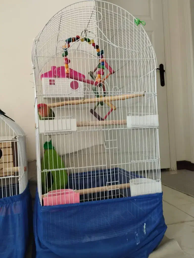 قفس پرنده درحد نو بزرگ و کوچک|لوازم جانبی حیوانات|پردیس, فاز ۱۱|دیوار