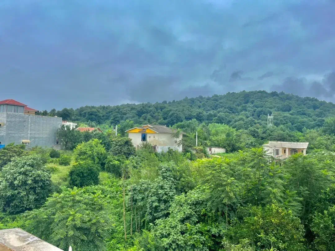 عمارت 450متری سند ویوکامل جنگل *2میلیارد زیر قیمت|فروش خانه و ویلا|نور, |دیوار