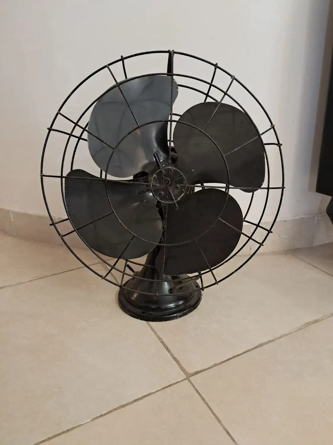 کاملا سالم هم تزئینی و هم کاربردی|کلکسیون اشیاء عتیقه|رشت, نیکمرام|دیوار